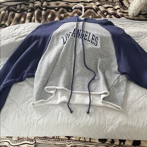 Forever 21 Gray and Blue Hoodie